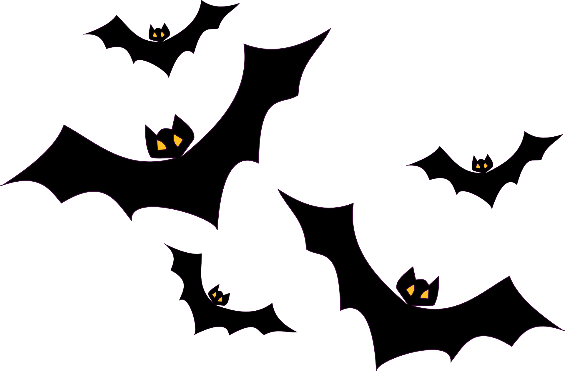 bats flying